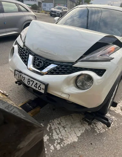 2015 Nissan Juke JN1AF58E2FT100109 VIN:JN1AF58E2FT100109