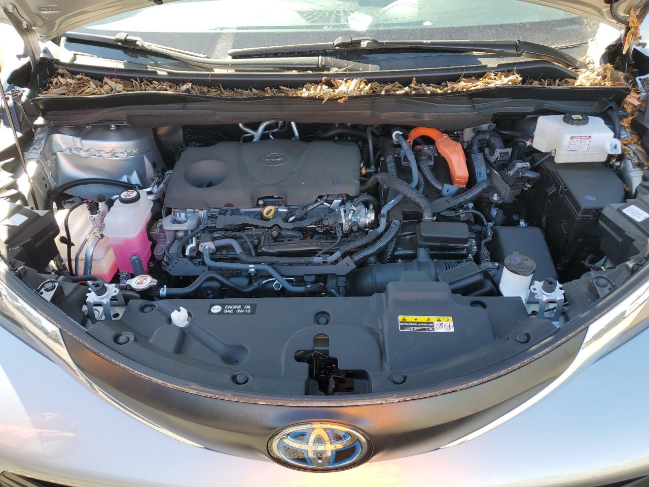 2023 TOYOTA SIENNA LE VIN:5TDKSKFC4PS077574