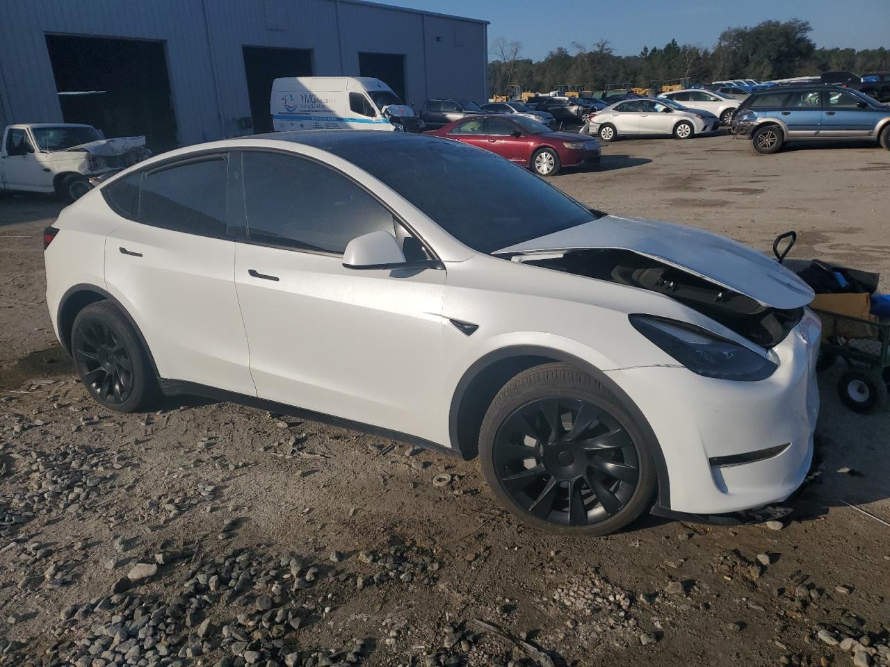 2024 TESLA MODEL Y  VIN:7SAYGDEE9RA268389
