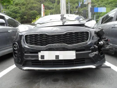 2016 Kia Sportage KNAPN813BHK226684 VIN:KNAPN813BHK226684