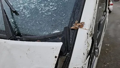 2023 Audi A4 LVPRPB4B1PC896132 VIN:LVPRPB4B1PC896132