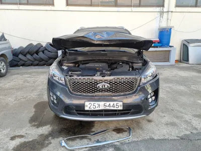 2017 Kia Sorento KNAPH81ABHA308128 VIN:KNAPH81ABHA308128