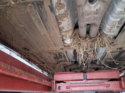 2020 Genesis G80 VIN: