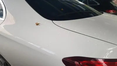 2019 Mercedes-Benz E 220 WDD1J1EB4KF095749 VIN:WDD1J1EB4KF095749