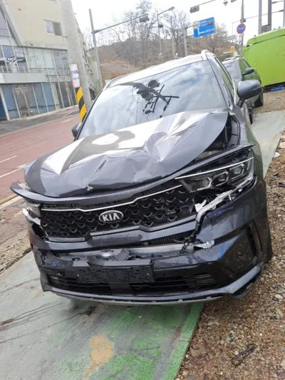 2021 Kia Sorento KNARL81BGMA103199 VIN:KNARL81BGMA103199