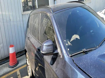 2017 BMW 320 WBAWZ5103H0M36393 VIN:WBAWZ5103H0M36393