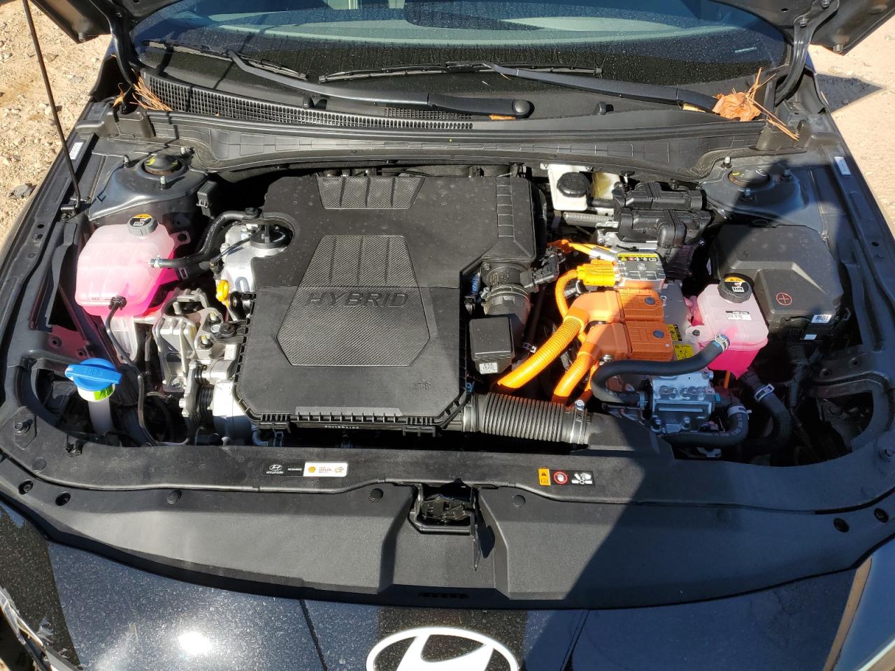 2024 HYUNDAI ELANTRA BLUE VIN:KMHLM4DJ6RU115182