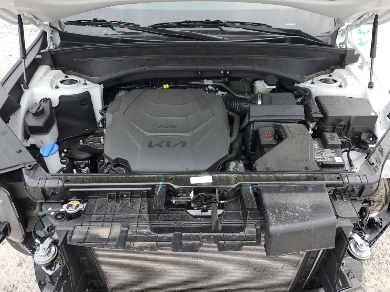 2024 KIA TELLURIDE EX VIN:5XYP3DGC4RG468009