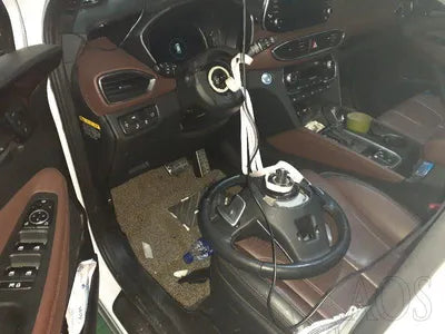 2019 Hyundai Santa FE KMHS581ABLU247207 VIN:KMHS581ABLU247207