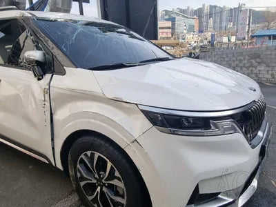 2020 Kia Carnival KNANC81BBMS015175 VIN:KNANC81BBMS015175
