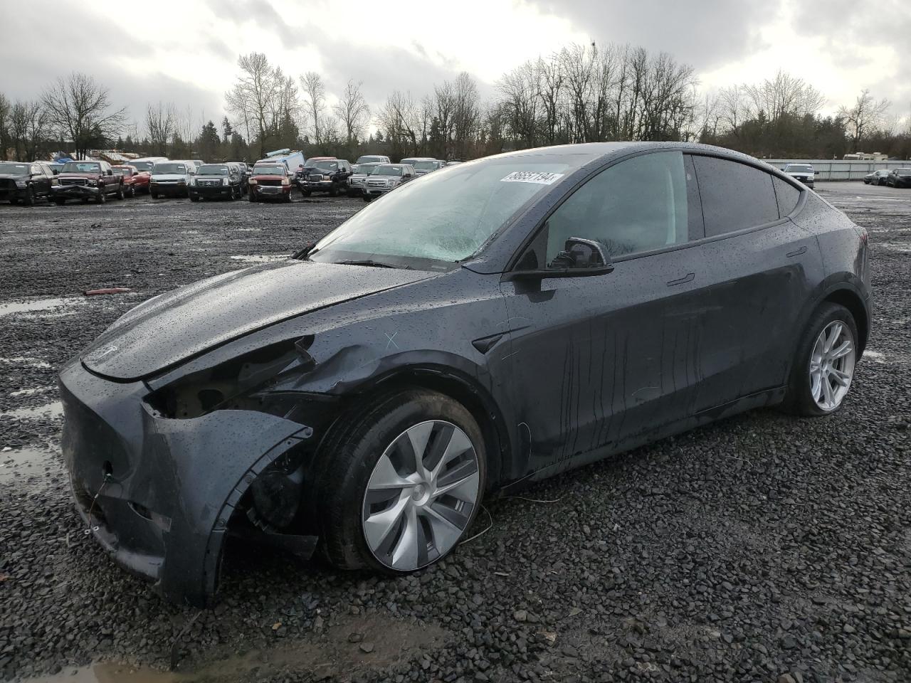 2024 TESLA MODEL Y  VIN:7SAYGDEE6RF074471