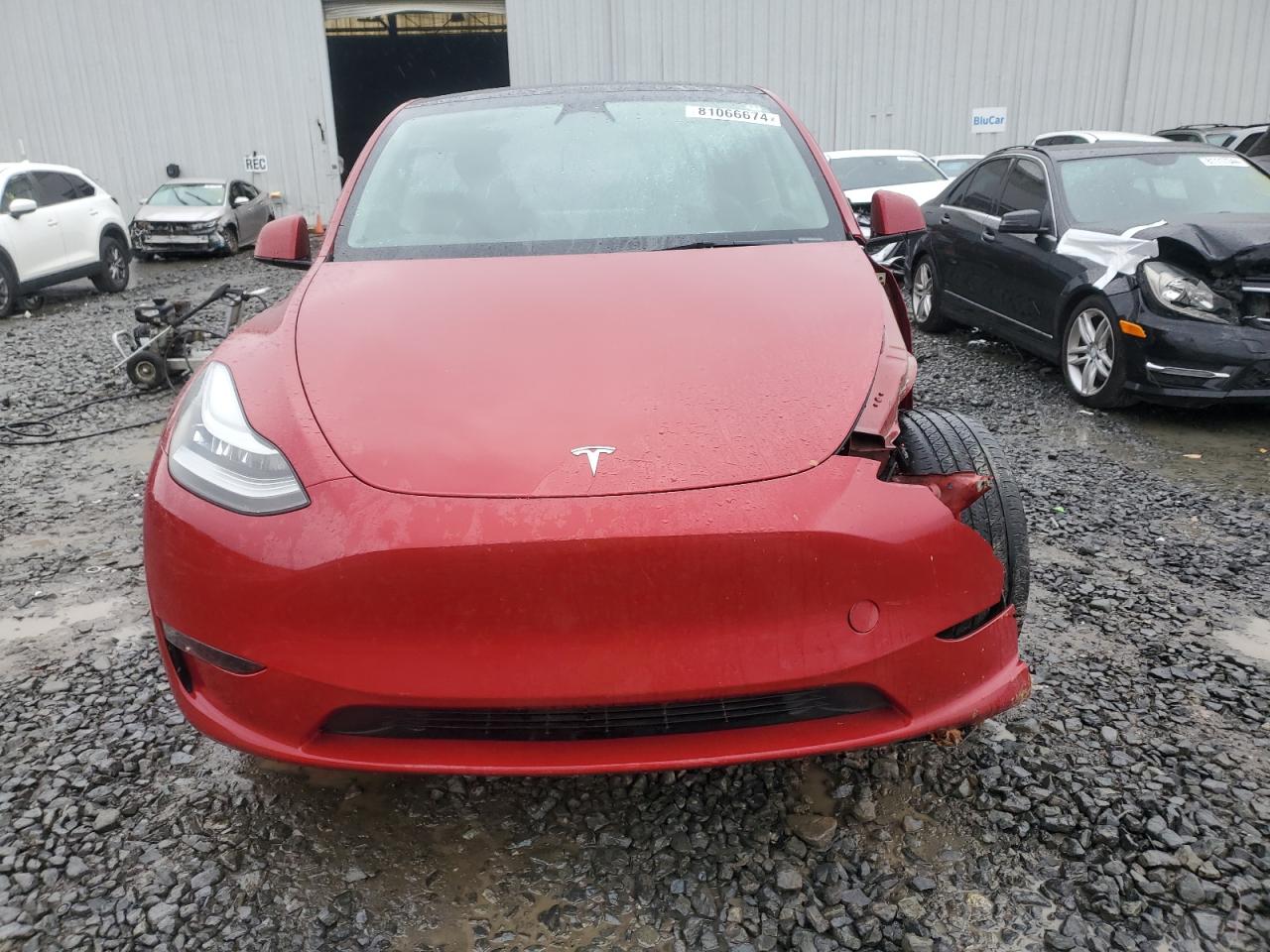 2023 TESLA MODEL Y  VIN:7SAYGDEEXPA027583