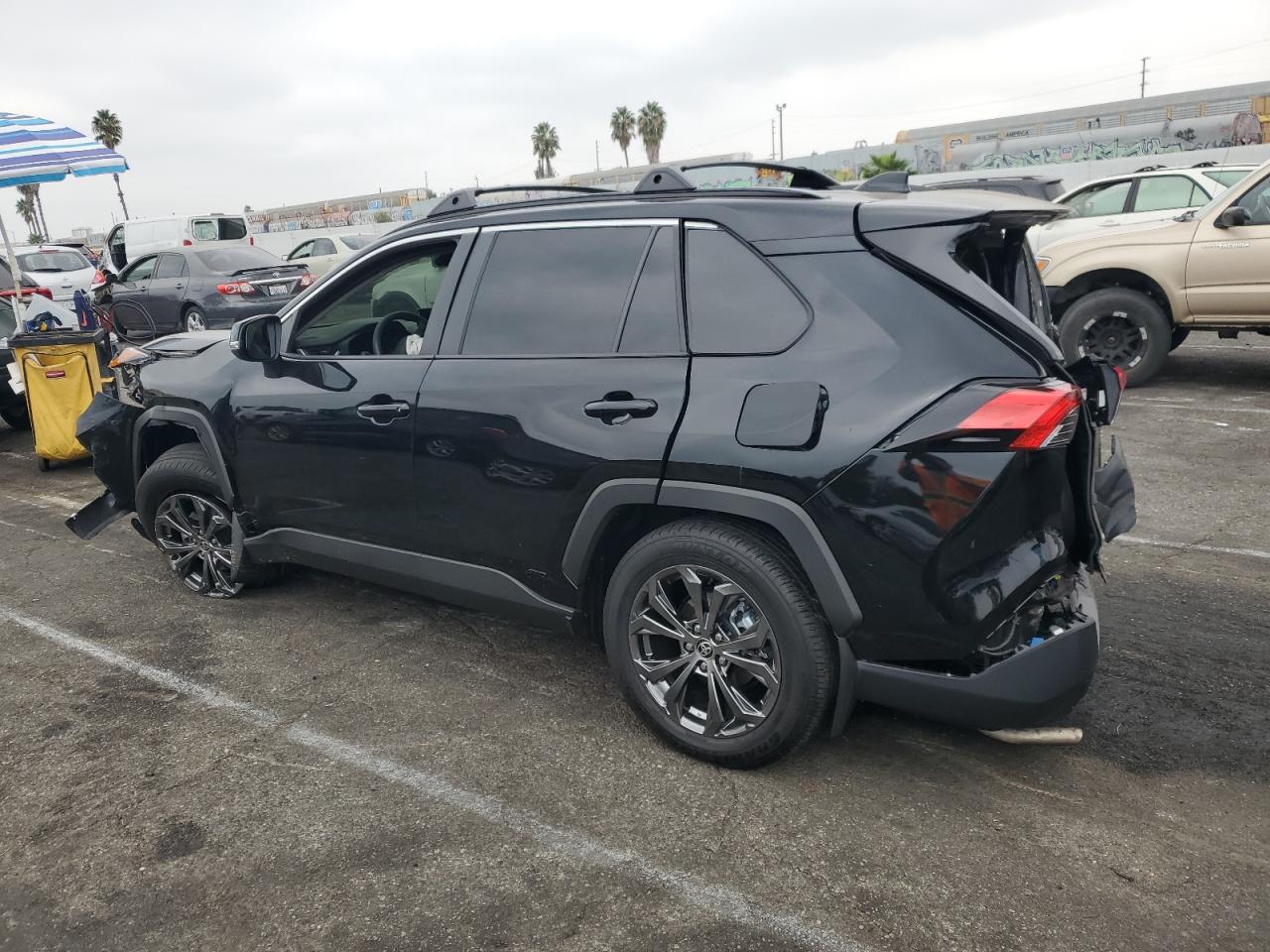 2024 TOYOTA RAV4 XLE PREMIUM VIN:JTMB6RFV5RD127993