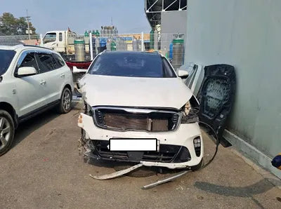 2019 Kia Sorento KNAPK81BDKA504366 VIN:KNAPK81BDKA504366