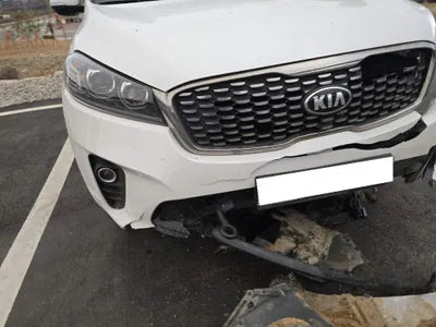 2019 Kia Sorento KNAPG81BDKA540068 VIN:KNAPG81BDKA540068