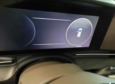 2020 Kia Carnival KNANC81BBMS021671 VIN:KNANC81BBMS021671