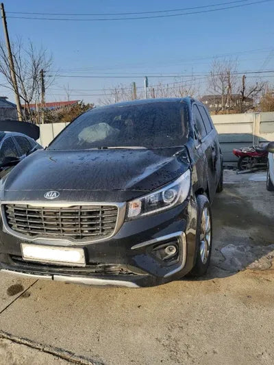 2019 Kia Carnival KNAMC81ABKS487296 VIN:KNAMC81ABKS487296