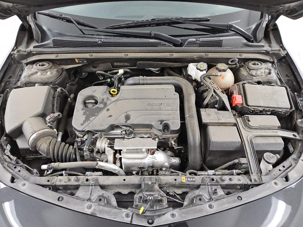 2023 CHEVROLET MALIBU LT VIN:1G1ZD5ST2PF178251