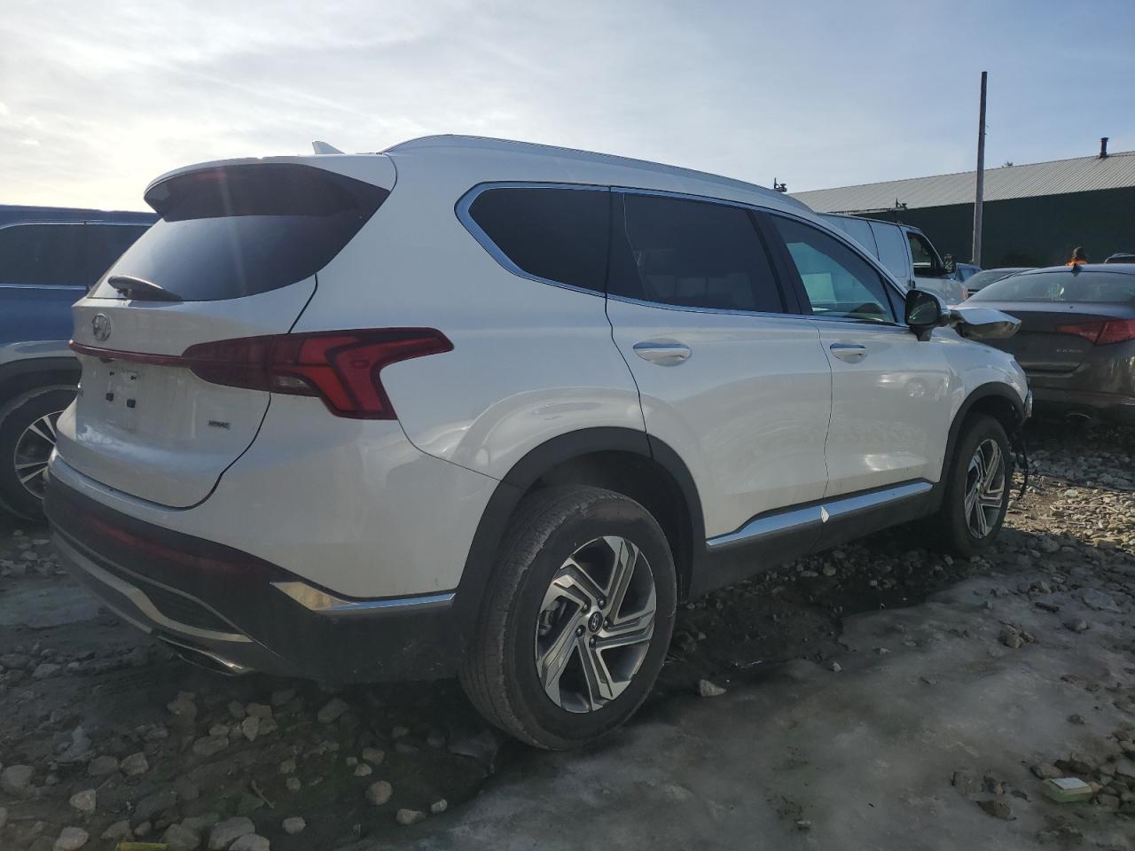 2023 HYUNDAI SANTA FE SEL PREMIUM VIN:5NMS3DAJ9PH563329