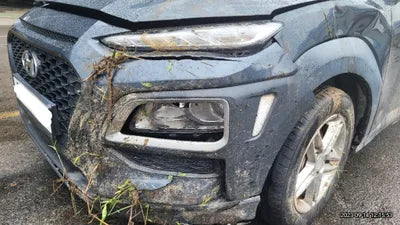 2018 Hyundai Kona KMHK4815GJU008062 VIN:KMHK4815GJU008062