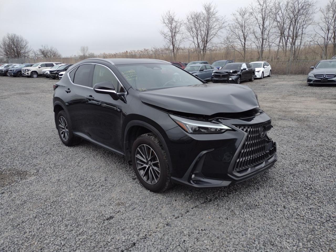 2022 LEXUS NX 250 VIN:JTJADCAZ6N2001315