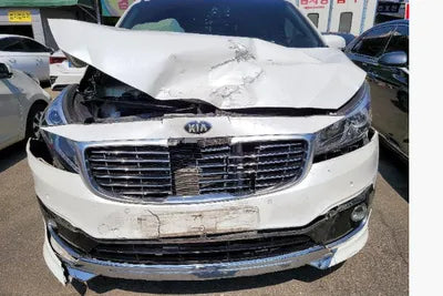 2015 Kia Carnival KNAMC81ABFS020262 VIN:KNAMC81ABFS020262