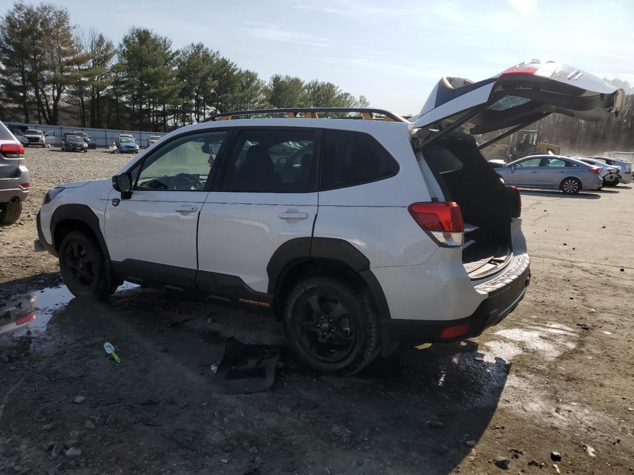 2023 SUBARU FORESTER WILDERNESS VIN:JF2SKAMC2PH471481