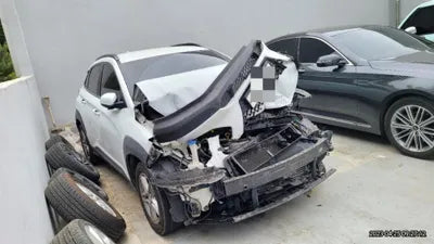 2019 Hyundai Kona KMHK4815GKU421459 VIN:KMHK4815GKU421459