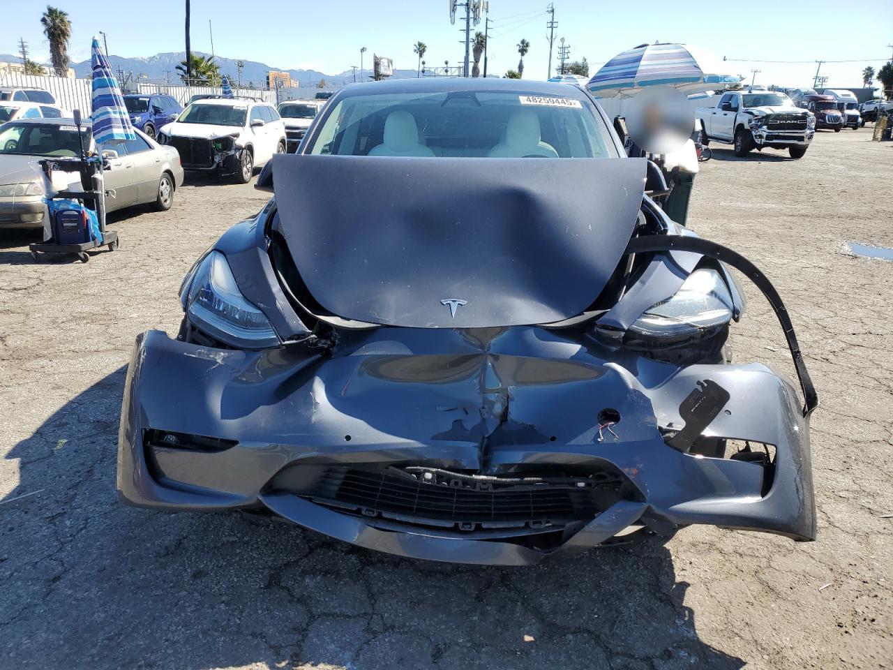 2022 TESLA MODEL Y  VIN:7SAYGDEE1NF391553