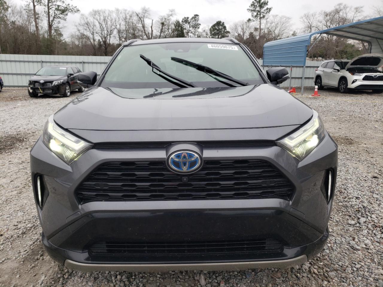 2024 TOYOTA RAV4 XSE VIN:JTME6RFV0RD560232