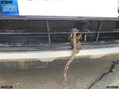 2017 Kia Carnival KNAMC81ABHS319234 VIN:KNAMC81ABHS319234