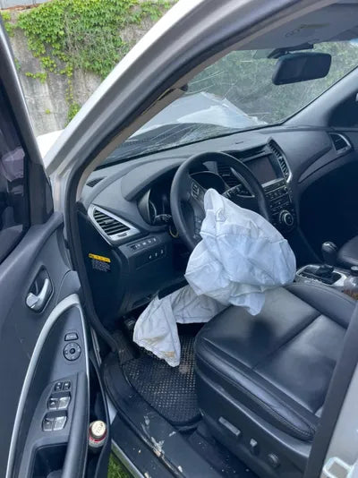 2016 Hyundai Santa FE KMHSW81UDGU698941 VIN:KMHSW81UDGU698941