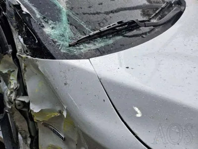 2020 Hyundai Kona KMHK381GFLU115259 VIN:KMHK381GFLU115259