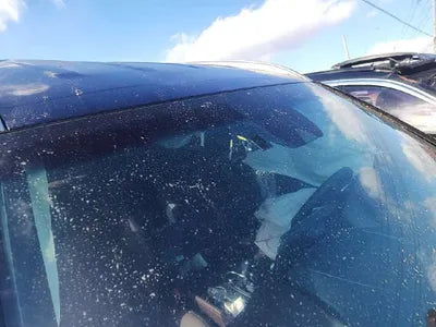 2019 Hyundai Santa FE VIN: