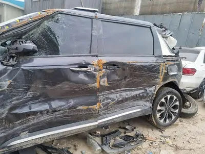 2023 Kia Carnival KNANE81BBPS235891 VIN:KNANE81BBPS235891