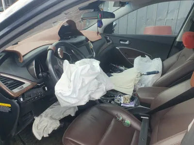 2016 Hyundai Santa FE KMHSU81UBGU593025 VIN:KMHSU81UBGU593025