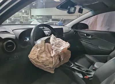 2020 Hyundai Kona KMHK4815GLU447679 VIN:KMHK4815GLU447679