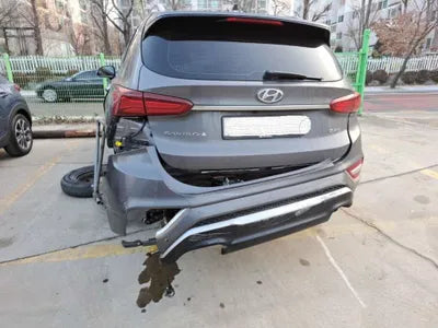 2019 Hyundai Santa FE KMHS581CBKU116989 VIN:KMHS581CBKU116989