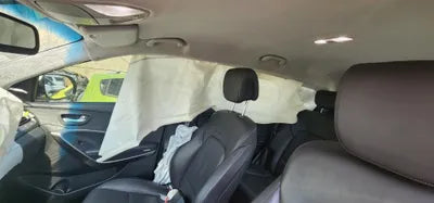 2016 Hyundai Santa FE KMHSW81UBGU688067 VIN:KMHSW81UBGU688067