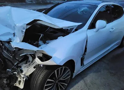 2019 Kia Stinger KNAE351ABKS058699 VIN:KNAE351ABKS058699