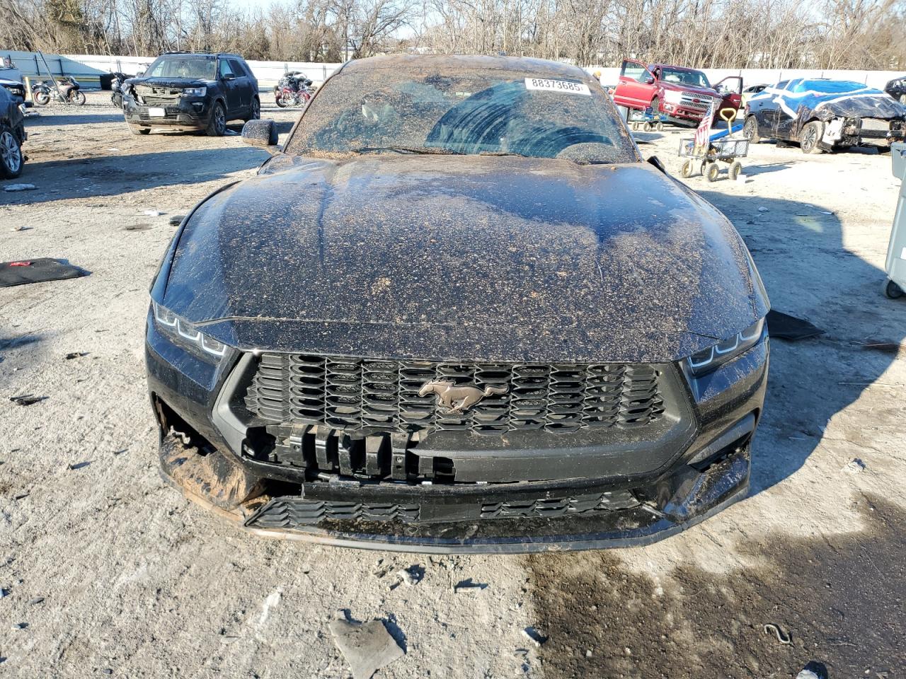 2024 FORD MUSTANG  VIN:1FA6P8TH3R5105482