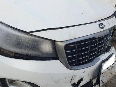 2018 Kia Carnival KNHMF37ABKS475396 VIN:KNHMF37ABKS475396