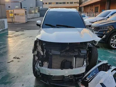 2022 Kia Sorento KNARK81GBNA072230 VIN:KNARK81GBNA072230