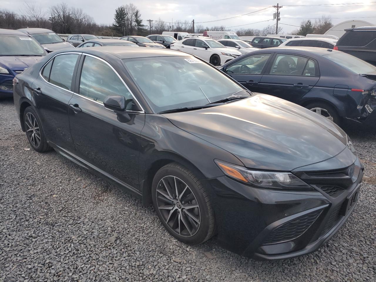 2023 TOYOTA CAMRY SE NIGHT SHADE VIN:4T1G31AK8PU616216