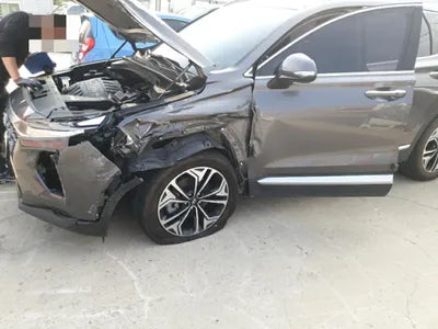 2019 Hyundai Santa FE KMHS381BBLU194994 VIN:KMHS381BBLU194994