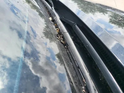 2019 Lexus ES 300 VIN: