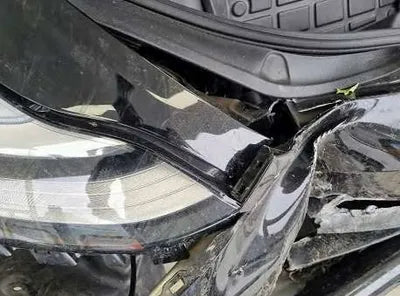 2020 Tesla Model 3 5YJ3E1EBXLF726016 VIN:5YJ3E1EBXLF726016