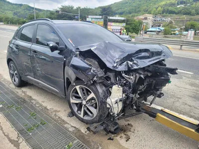 2017 Hyundai Kona KMHK3816GJU006015 VIN:KMHK3816GJU006015