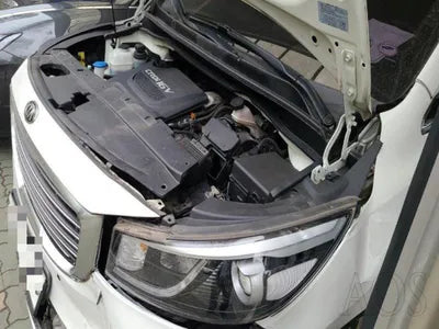 2017 Kia Carnival KNAME81ABHS328620 VIN:KNAME81ABHS328620