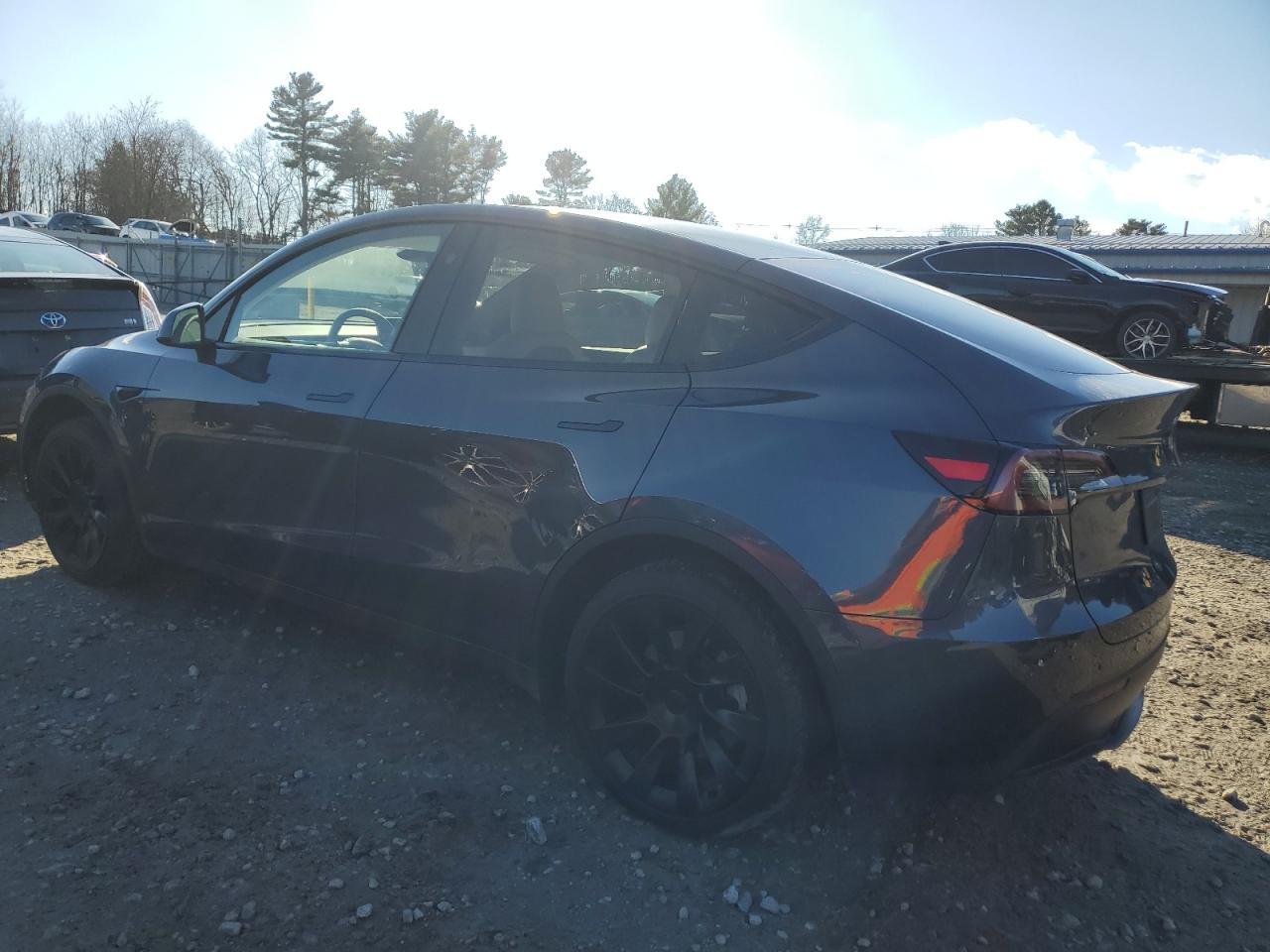 2023 TESLA MODEL Y  VIN:7SAYGDEE6PF884129
